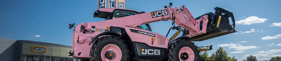 header-octobrerose.jpg