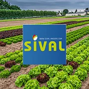 miniature-sival-2023.jpg