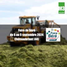 miniature-foire-béré