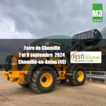miniature-foire-chemillé