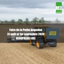 foire-petite-angevine