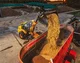 Le télescopique articulé JCB TM420S I M3 Agri